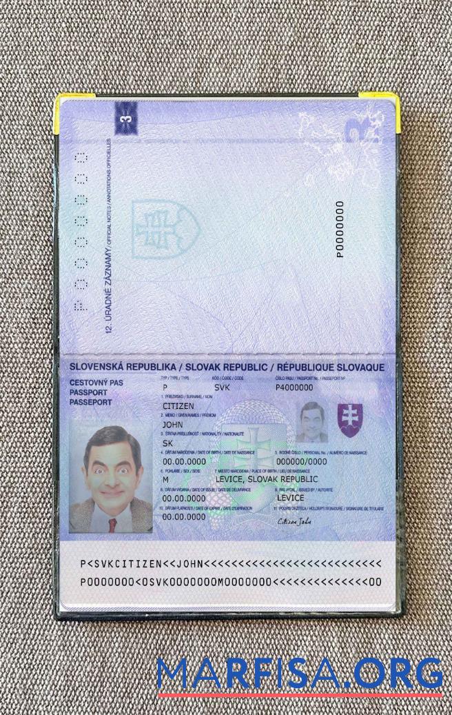 Printable Slovakia passport 2012 photo look template